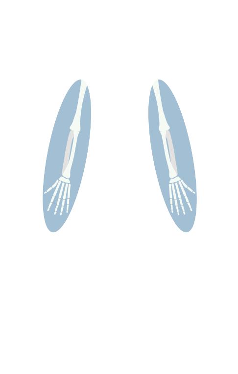 Point 部位別のお悩みから選ぶ