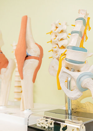 様々な治療の選択肢を提案