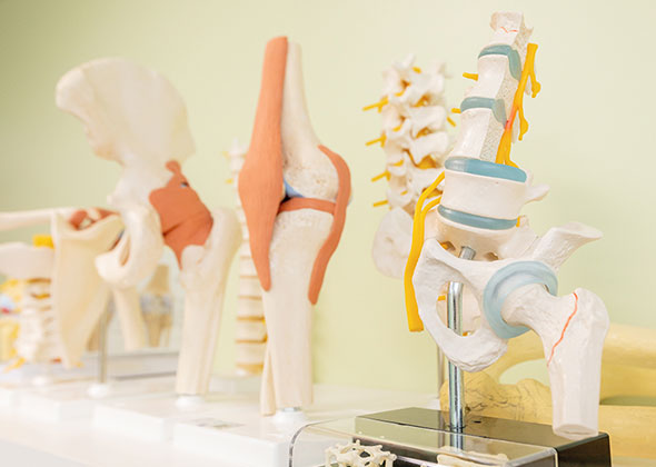 様々な治療の選択肢を提案